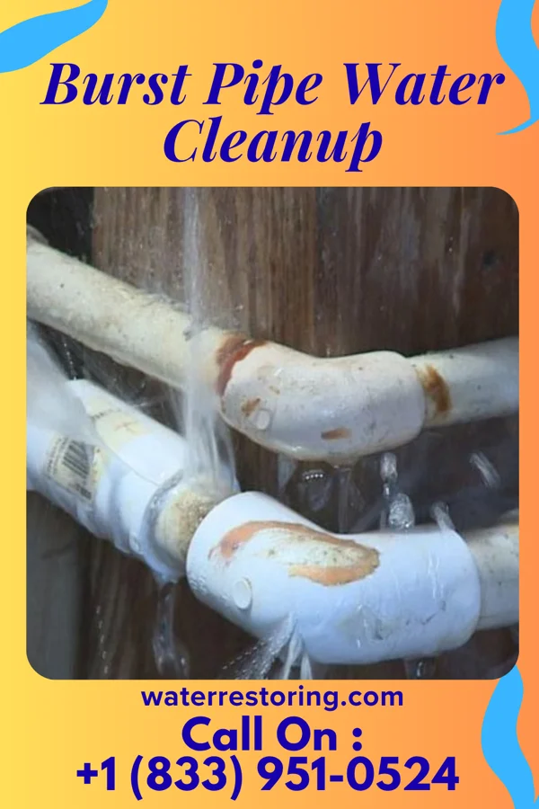 Burst Pipe Water Cleanup in Bowmans Addition, MD
