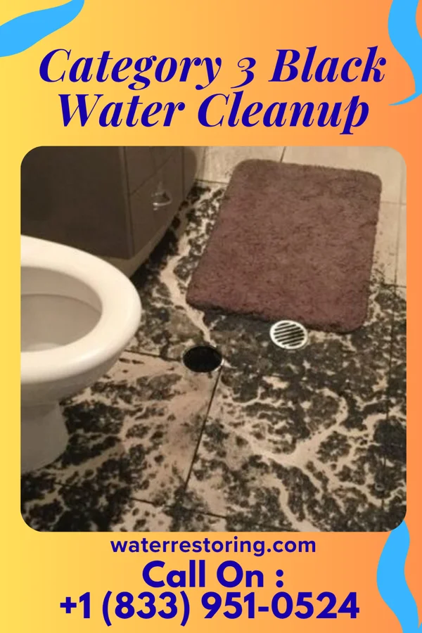 Category 3 Black Water Cleanup in Bowmans Addition, MD