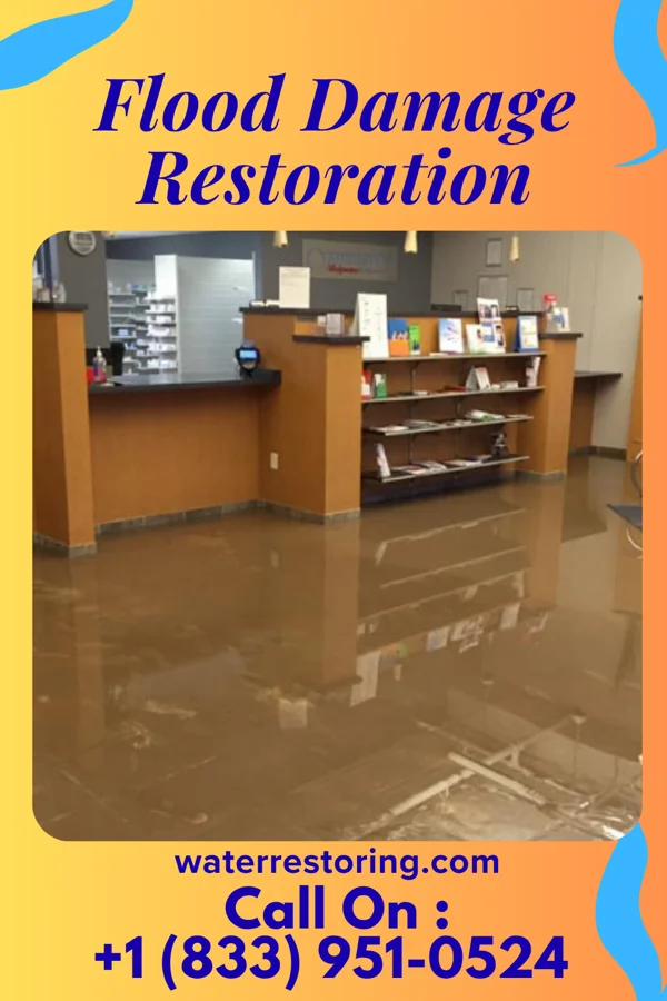 Flood Damage Restoration in Bowmans Addition, MD