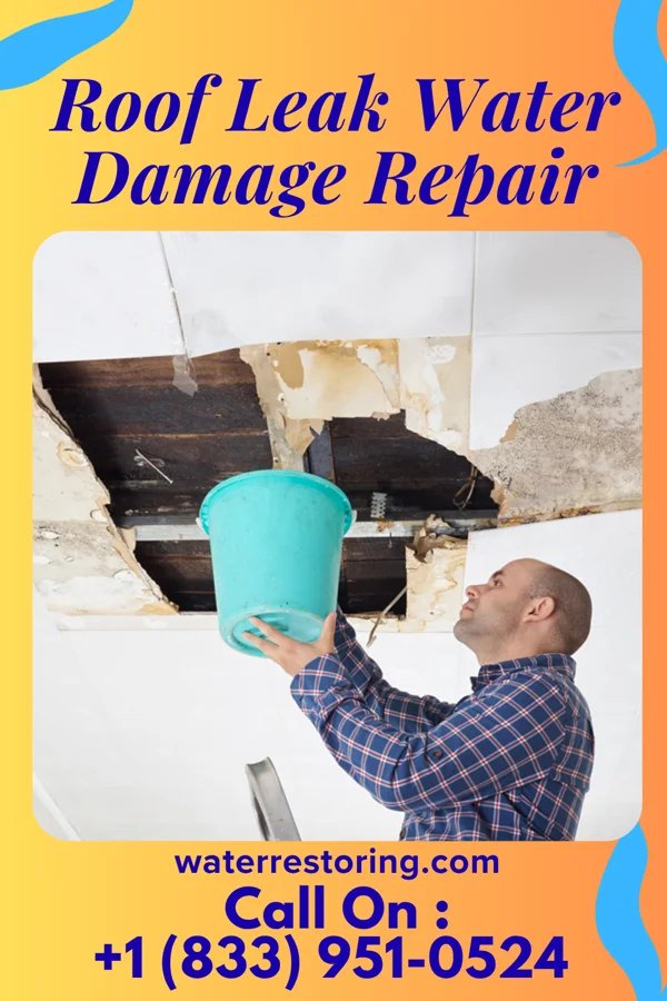 Roof Leak Water Damage Repair in Bowmans Addition, MD
