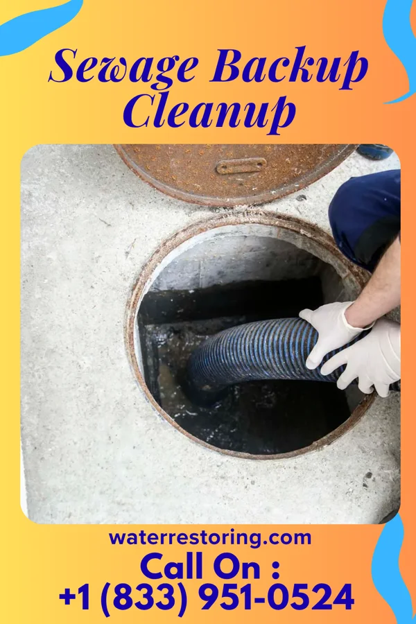 Sewage Backup Cleanup in Bowmans Addition, MD