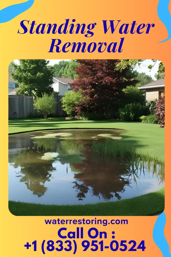 Standing Water Removal in Bowmans Addition, MD